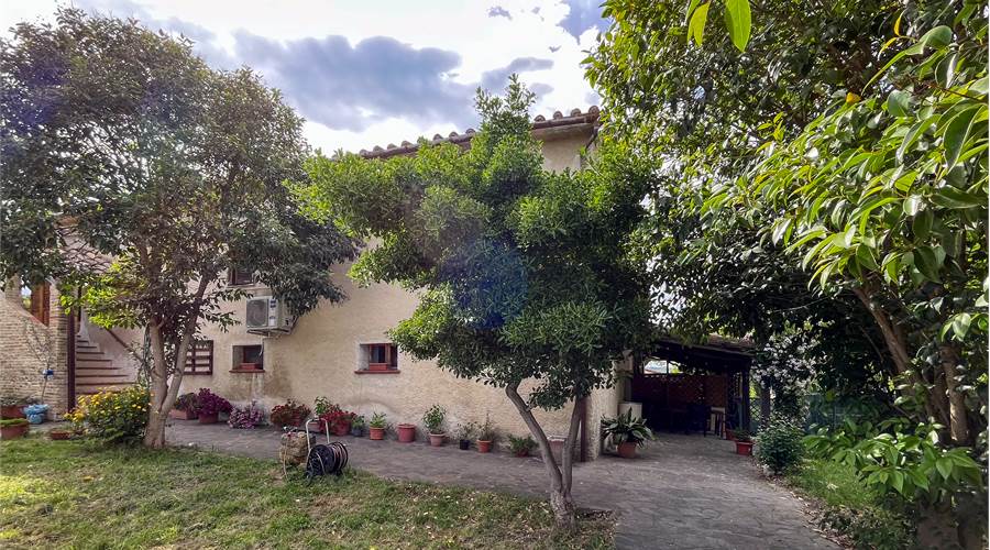 Giardino